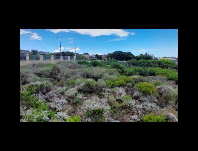 LAND FOR SALE IN BLUE RIDGE